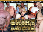 Hairy Daddies