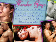 Tender Gays