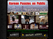 Korean Pussies on Public