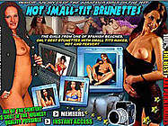 HOT SMALL-TIT BRUNETTES