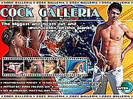 COCK GALLERIA