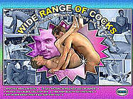WIDE RANGE OF COCKS