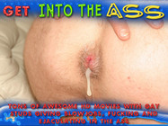 Get Into The Ass