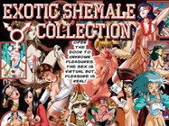 Exotic Shemale Collection